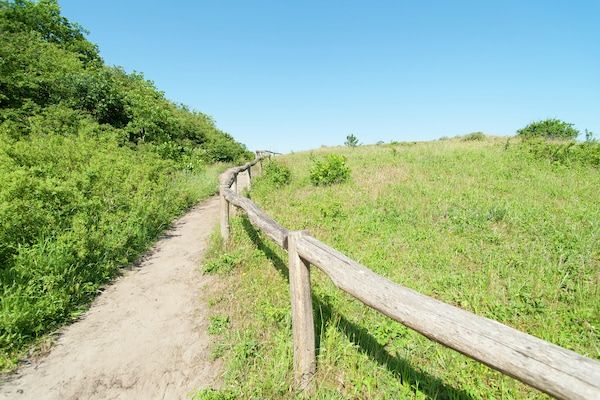 Sea Lodges Zandvoort 1 in Zandvoort - Foto 37 van 37