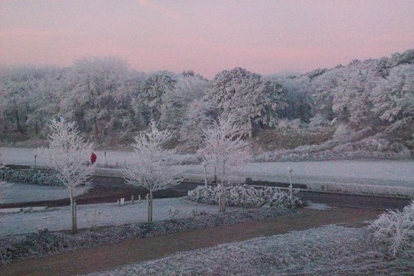 Bungalowpark 't Lappennest 3 in Noordwijk - Foto 40 van 40