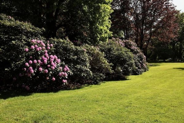 Vakantiepark De Lochemse Berg 1 in Lochem - Foto 40 van 40