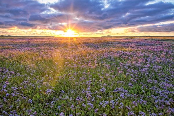 So What 17 in De Koog Texel - Foto 36 van 36