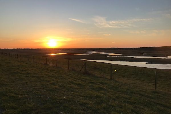 Lepelblad 44 in Nieuwvlietbad - Foto 35 van 35