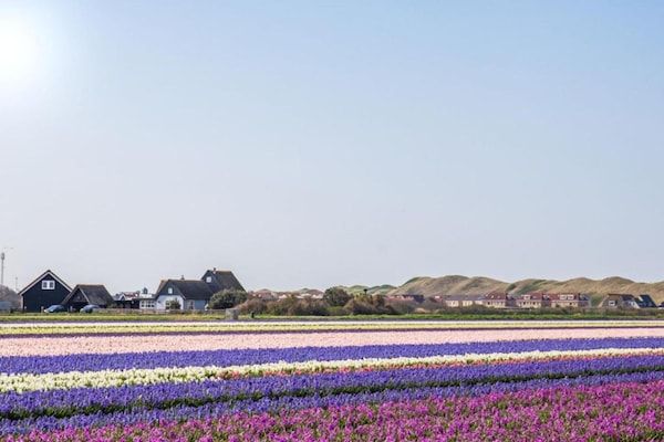 Resort Callantsoog 2 in Callantsoog - Foto 40 van 40