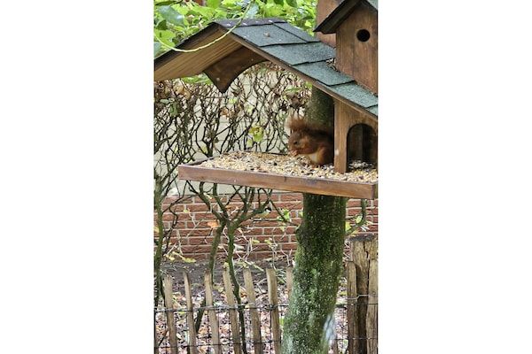 Huisje 37 in Stegeren - Foto 38 van 38