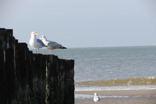 Horizon 3 in Renesse - Foto 40 van 40