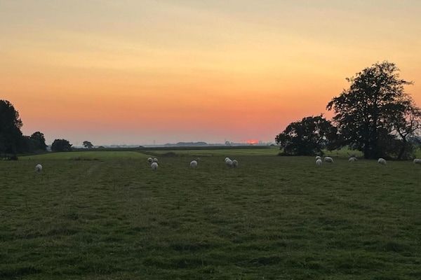 Wadden Festijn in Paesens - Foto 40 van 40