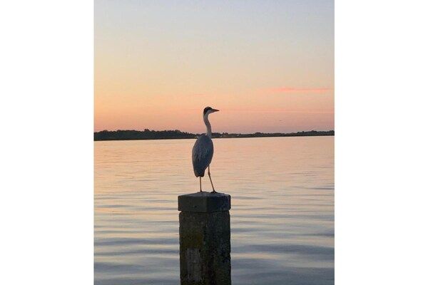 Houseboat Earrebarre - Paviljoenwei 1 - Offingawier in Offingawier - Foto 40 van 40