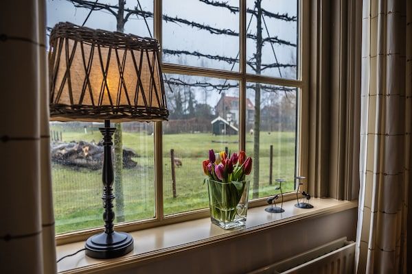 Vakantiewoning - Oranjezon 4p in Vrouwenpolder - Foto 2 van 22