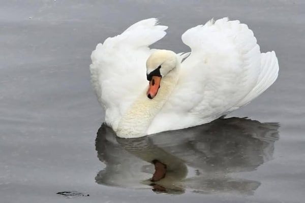 Nautisch Centrum Scheveningen 5 in Den Haag - Foto 35 van 35