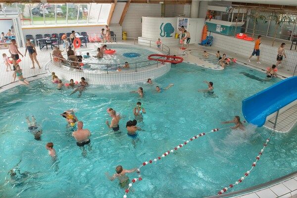 Park - Gezellige bosvakantie in Oosterhout (4)