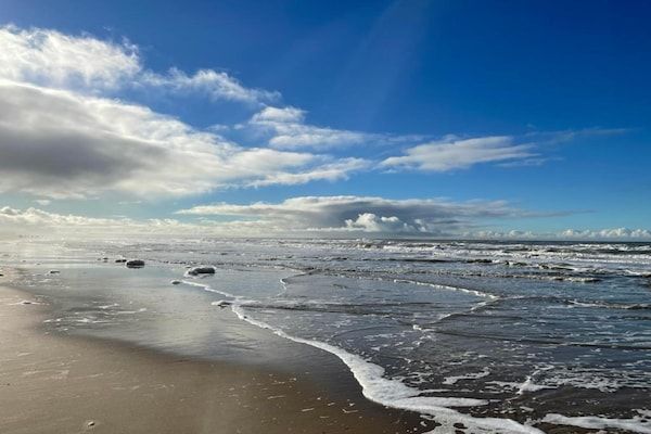 Vitamine Zee in Egmond aan Zee - Foto 40 van 40
