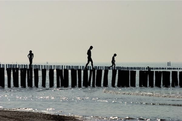 Vakantiepark Bos en Duin 1 in Oostkapelle - Foto 20 van 20