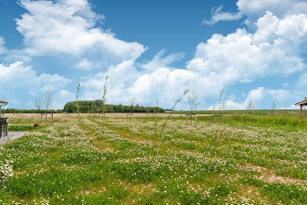 De Scholekster Huis Nr 14 in Scherpenisse - Foto 40 van 40
