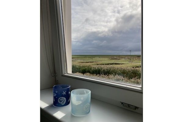 De Zeemeeuw Huis Nr 54 in Scherpenisse - Foto 40 van 40