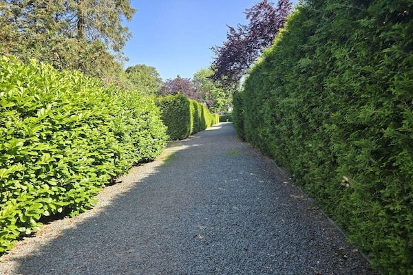 De Veluwse Eekhoorn in Garderen - Foto 38 van 38