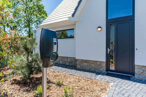 Blauwe Kiekendief in Den Burg - Foto 2 van 24