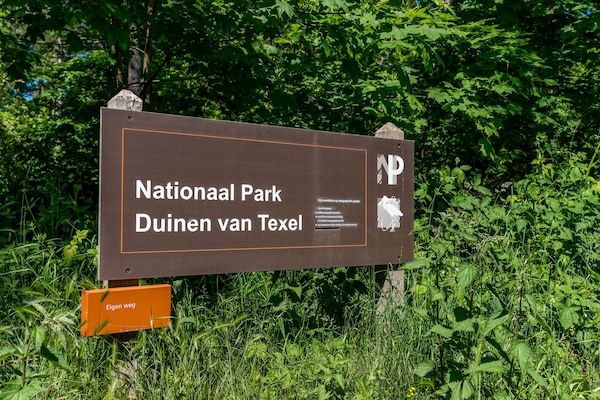 Blauwe Kiekendief in Den Burg - Foto 24 van 24