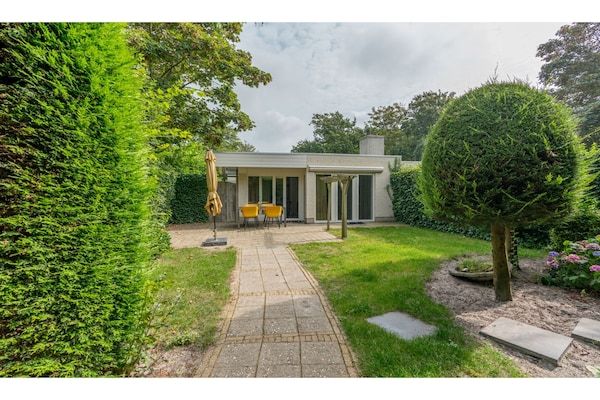 Zilte Bries in De Koog Texel - Foto 1 van 36