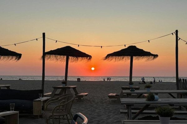 Lepelblad 7 in Nieuwvlietbad - Foto 42 van 42