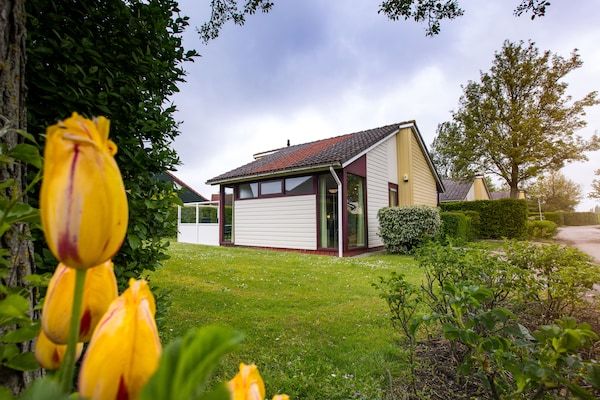 Vakantiepark Hof van Zeeland 1 in Heinkenszand - Foto 1 van 40