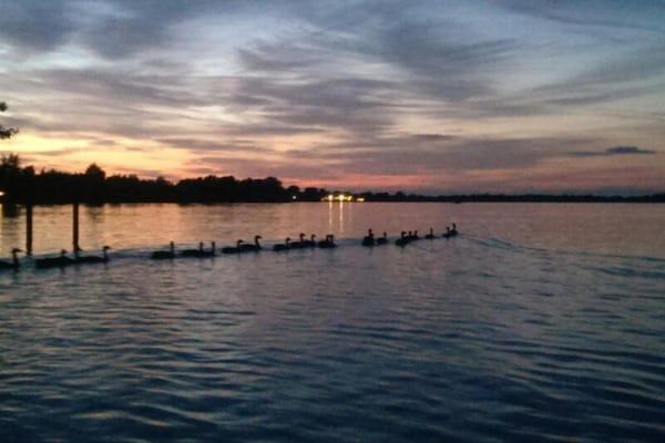 Vakantiepark Giethoorn 10 in Giethoorn - Foto 40 van 40