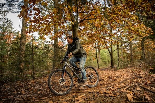 Vakantiepark De Heihorsten 10 in Someren - Foto 40 van 40