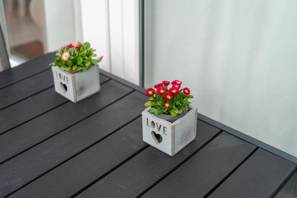 Scheldeoord 97 in Baarland - Foto 40 van 40