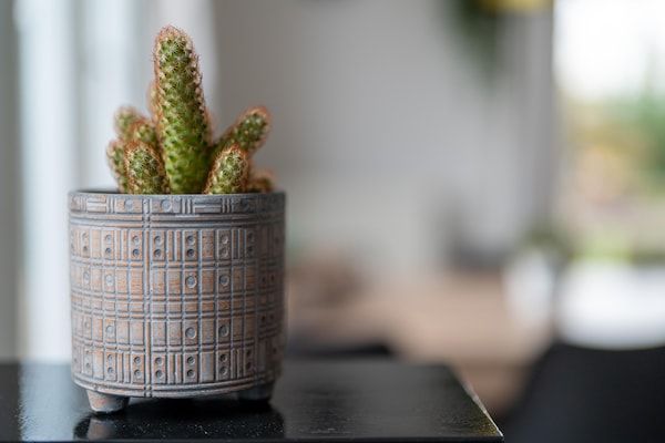 Scheldeoord 70 in Baarland - Foto 40 van 40