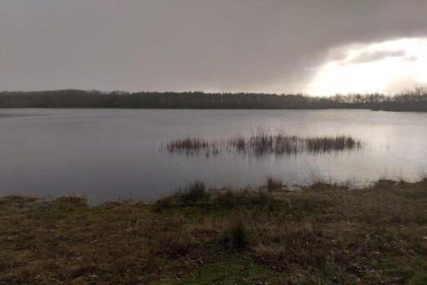 Villa Zonnewijzer in Noordwolde - Foto 40 van 40