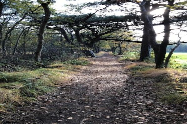 Recreatiepark Idskenhuizen 1 in Idskenhuizen - Foto 45 van 45