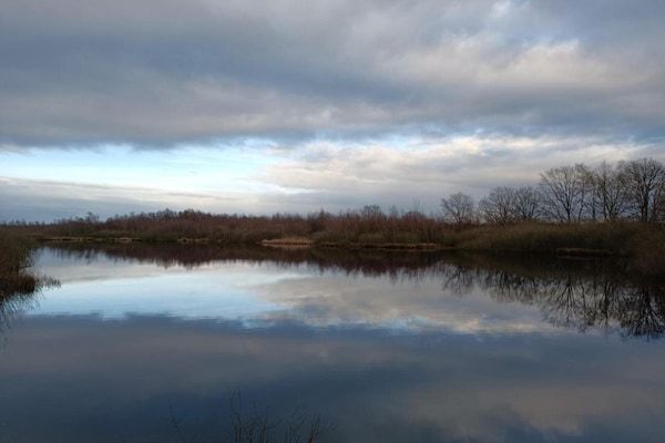 The Old Farmhouse in Montfoort - Foto 40 van 40