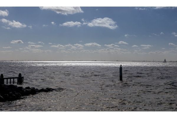 De Zeester Gorishoeksedijk 41 in Scherpenisse - Foto 40 van 40