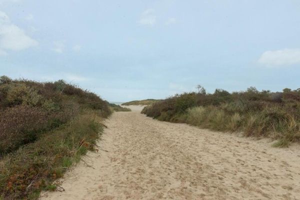 Harbour  2E Loft wellness 6 personen in Kamperland - Foto 40 van 40