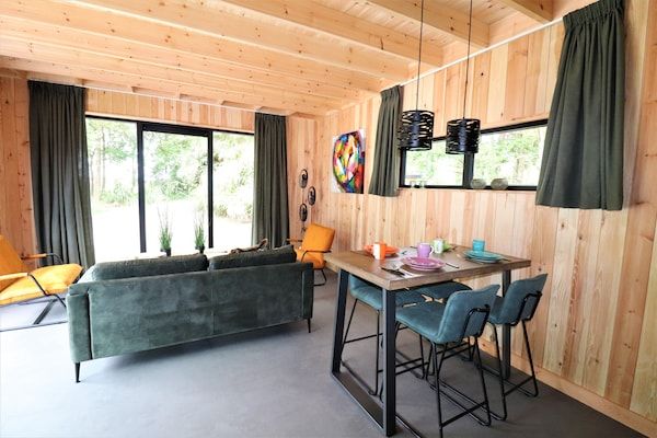 Woonkamer - Luxe wellnesslodge voor een stel in Dalerveen (2)