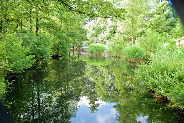 Vakantiepark de Berkenhorst 12 in Kootwijk - Foto 16 van 16