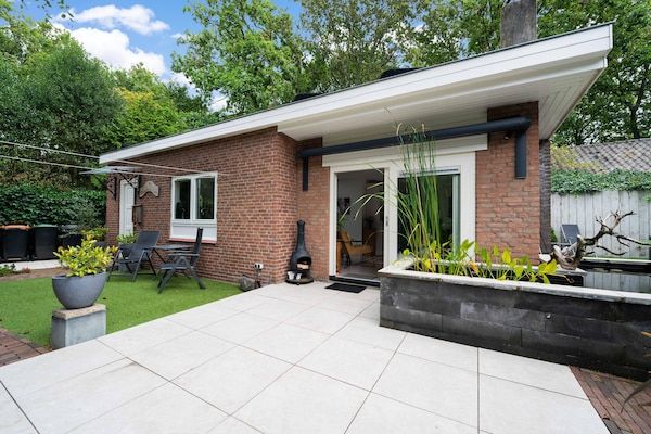 De Klimroos in Bergen - Foto 1 van 40