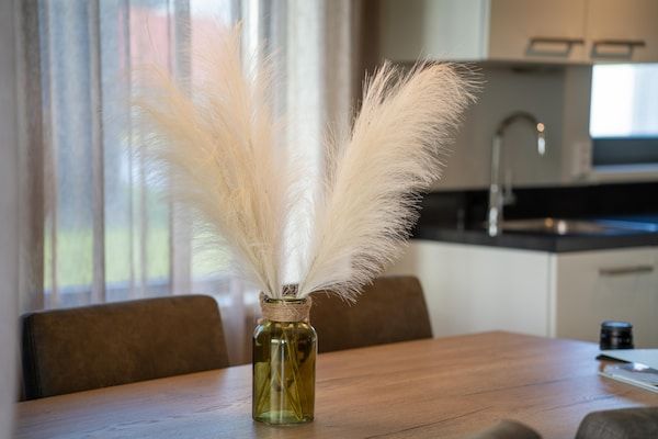 Gogge Huis NR 53 in Scherpenisse - Foto 40 van 40