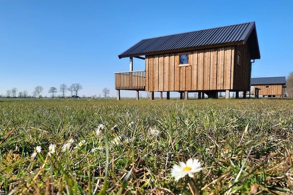 Buitenkant - Lodges in Drenthe met Uitzicht op Weiden in Ruinerwold (1)
