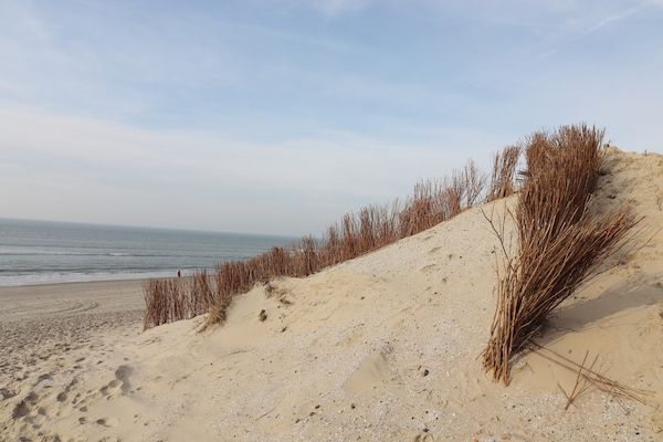 Duinchalet C024 in Hollum - Foto 1 van 27