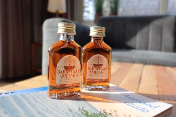 Duinchalet C140 in Hollum - Foto 32 van 32