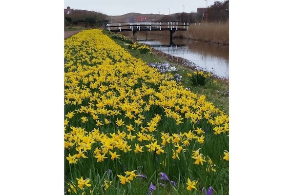 221917 in Julianadorp - Foto 23 van 23