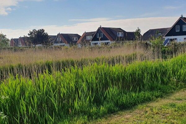 341513 in NB Callantsoog - Foto 23 van 23