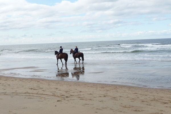470866 in Julianadorp aan Zee - Foto 29 van 29