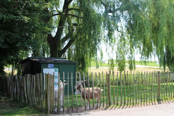 Park - Ruim vakantiehuis met terras in Zevenhuizen (4)