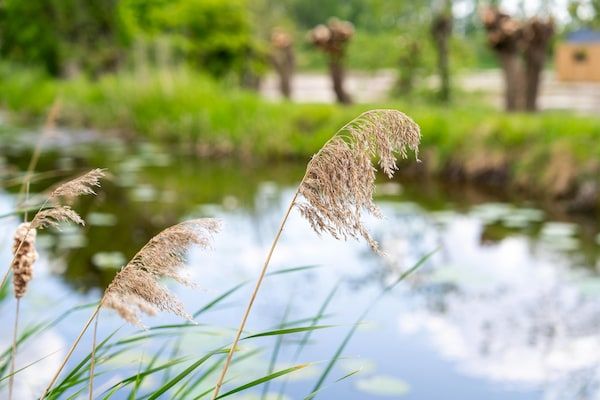 Kaag in Oud Ade - Foto 25 van 25