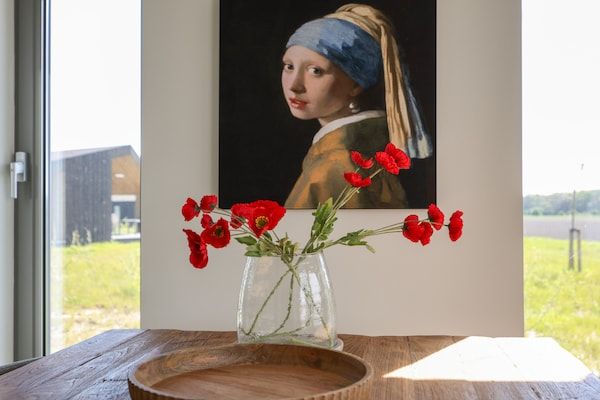 Heerlijkheid Vlietenburg 15 in Wissenkerke - Foto 40 van 40