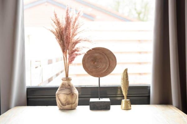 Comfort bungalow – Max 6 personen – nummer 49 in Zevenhuizen - Foto 40 van 40