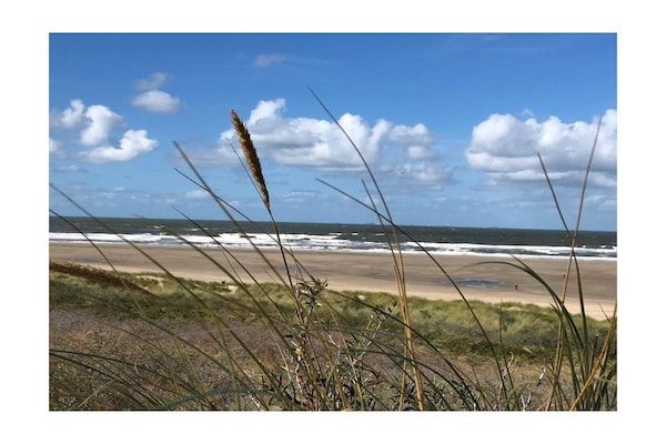 245445 in Ouddorp - Foto 20 van 20