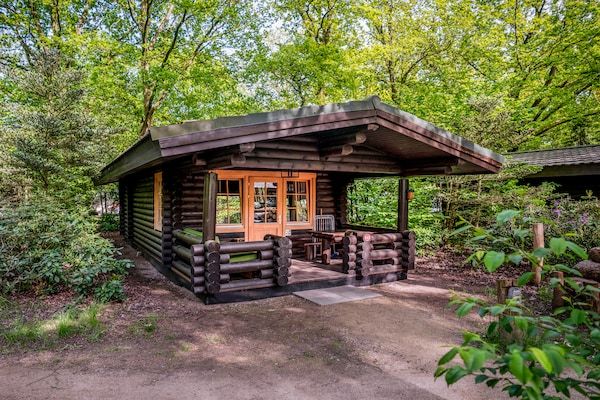 Parc Duc de Brabant 3 in Diessen-Baarschot - Foto 2 van 40