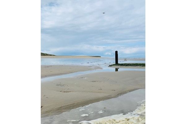 437550 in Huisduinen - Foto 21 van 21