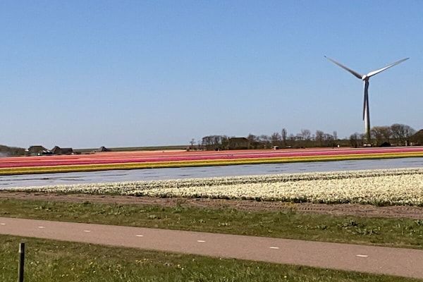 297331 in Dirkshorn - Foto 20 van 20